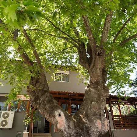 호텔 Kipos Néa Péramos