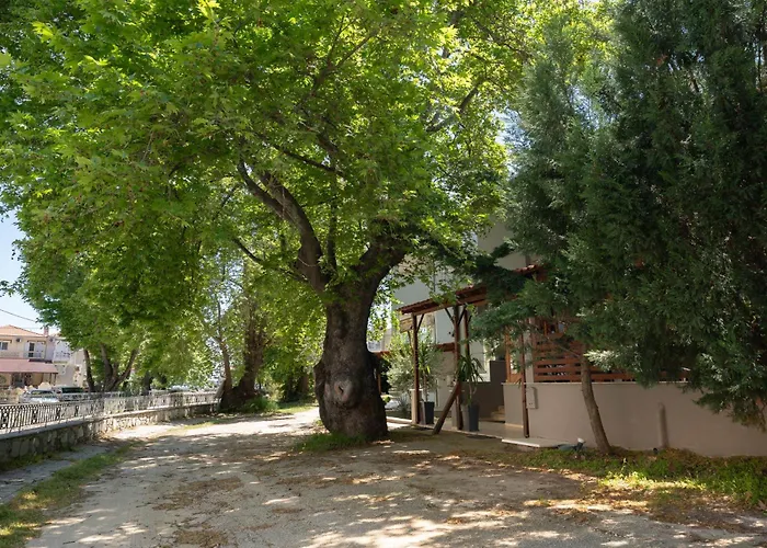 Hotel Kipos 3*