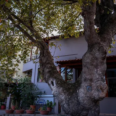 Hotel Kipos Nea Peramos (Macedonia)