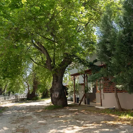 Hotel Kipos 3*