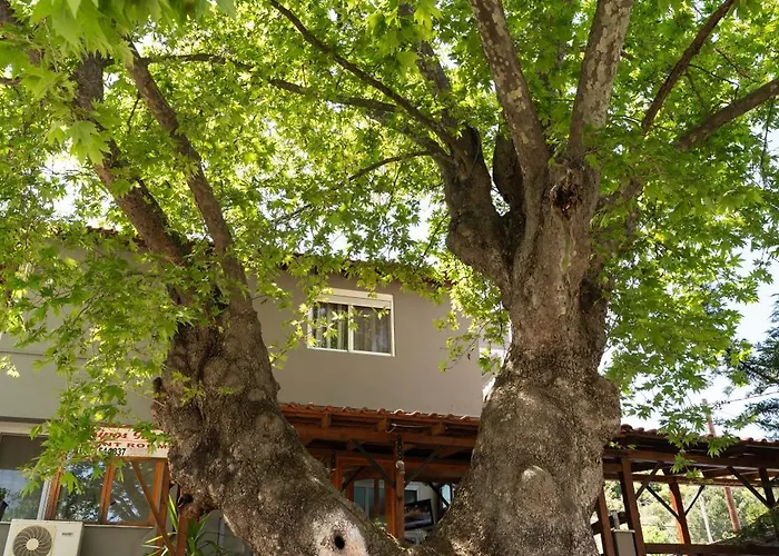 Hotel Kipos Néa Péramos